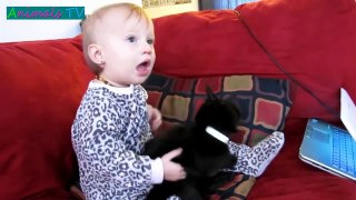 MOST Crazy Cats Annoying Babies, If You Laugh You Lose Challenge, Funny Cats Videos by Ani