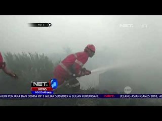 Kebakaran Lahan Gambut Melanda Beberapa Daerah di Indonesia - NET 5