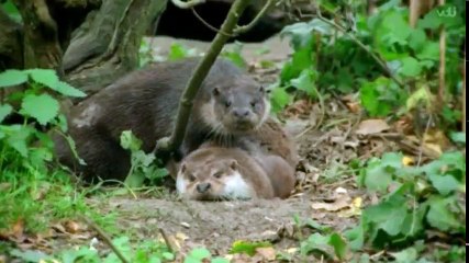 Nature Nuts with Julian Clary S01  E02 Farne Islands - Part 01