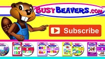 Finger Family Beavers | English Baby Song, Children Learning, Kindergarten Kids Education,