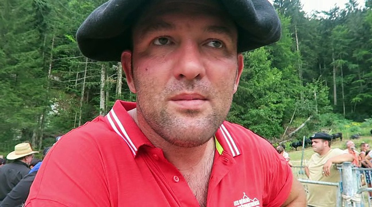 Le Planolet : les vaches d'Hérens ont une nouvelle fois combattu