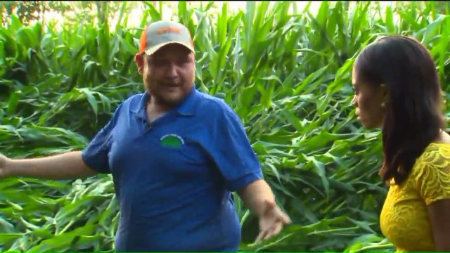 Tornadoes Touch Down Along Connecticut, Massachusetts Border