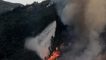 Calor extremo complica combate a incêndios na Península Ibérica