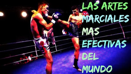 Las Artes Marciales Mas Letales Del Mundo