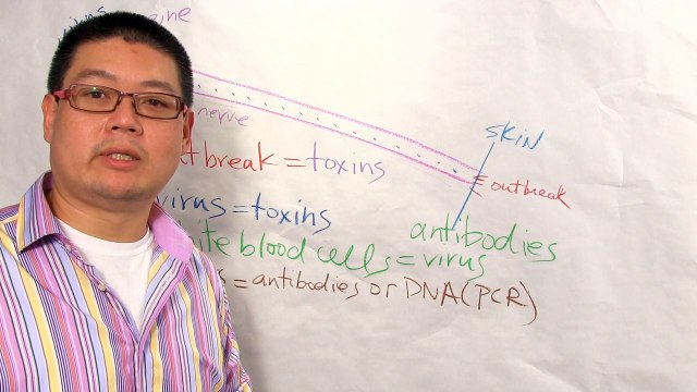 Herpes virus outbreaks eliminate completely with MyTea Magic Hollywood herpes elimination secret