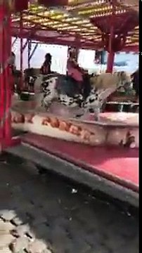 La vidéo d'un manège qui utilise de vrais poneys qui tournent en rond des heures sous la chaleur révolte les associations