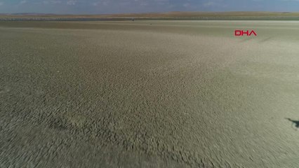 Konya Flamingo Cennetindeki Kuraklık, Kuşların Yaşam Alanını Daraltıyor - Ek