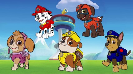 Paw patrol Finger Family Paw patrol Songs Rhymes For Kids Misa TV