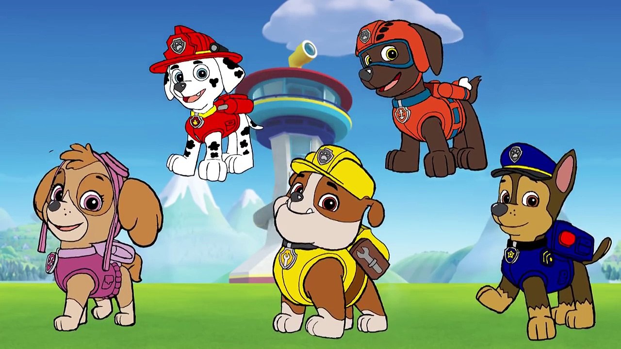 Paw patrol Finger Family Paw patrol Songs Rhymes For Kids Misa TV
