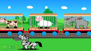 Thomas Train Collects Animals Trains Video For Kids