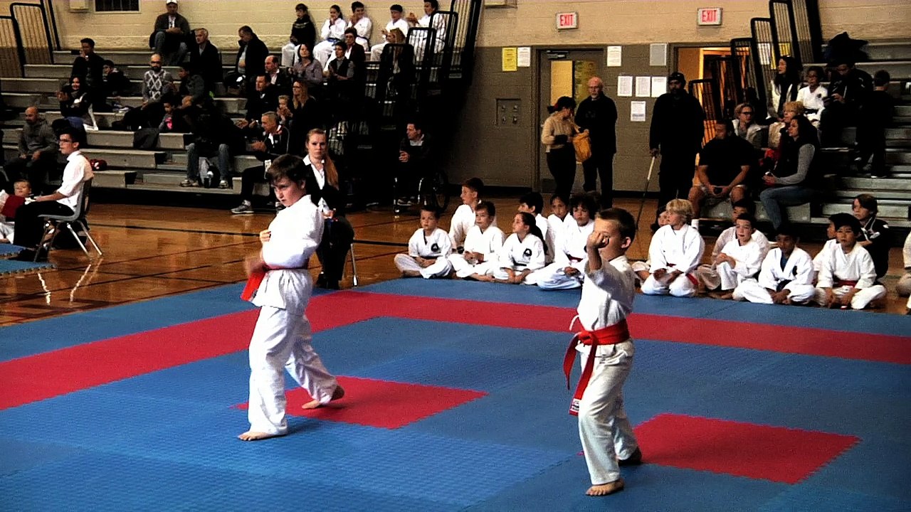 Trailer: Karate in Ontario: THE UPHILL BATTLE ‘THE COST OF RAISING A CHAMPION’