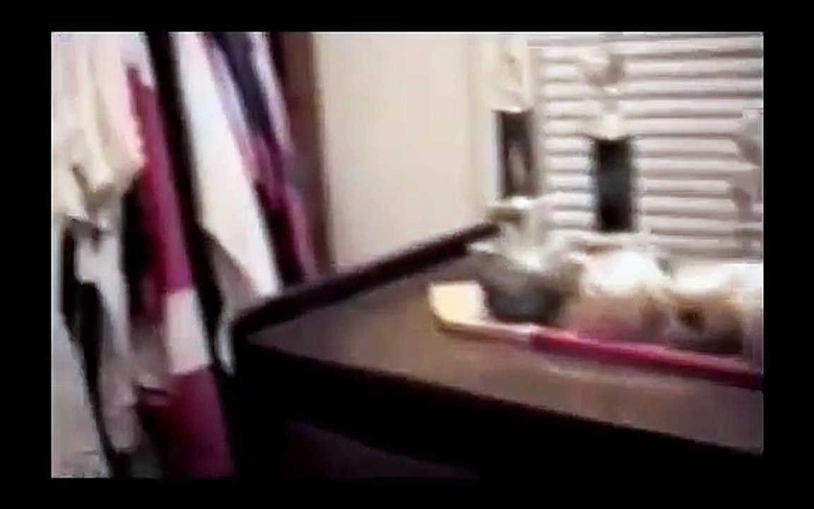 DIRTY PARENTS Chainsaw wakeup scare prank Roflgasm video Dailymotion