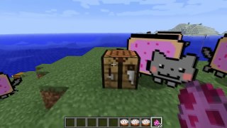 Minecraft : Nyan Cat Mod in Minecraft!!