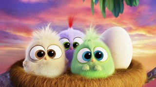 The Angry Birds Movie Happy Mothers Day from the Hatchlings!