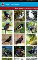 Asian Birds Sounds Android App