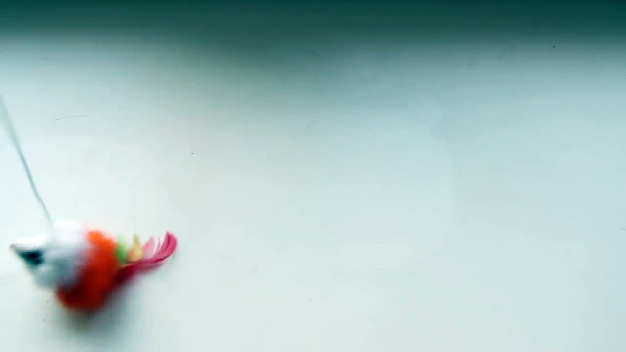 MOVIE FOR CATS FLUFFY TOY MOUSE (ENTERTAINMENT VIDEOS FOR CATS TO WATCH)