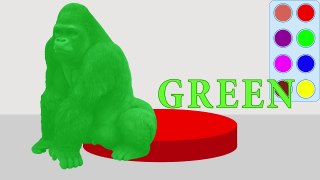 Learn Colors for Children w Colors Animals Gorilla Fun Learning Video for Kids ABC Song