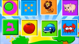 Kids 1st Shape Puzzle Safari animals.wmv