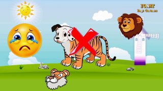 Wrong Heads With Cartoon And Animals – Tiger, Dogs, Lion – Funny Cartoons For Children