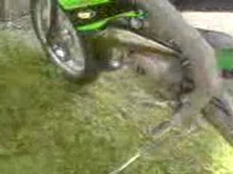 MOV00002