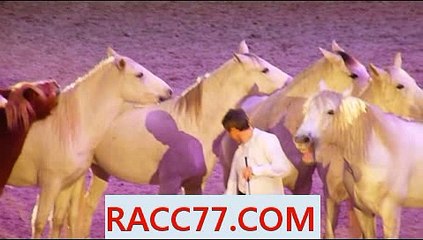 실시간경마방송 , 실시간경마중계 , RACC77 쩜 C0M 검빛닷컴