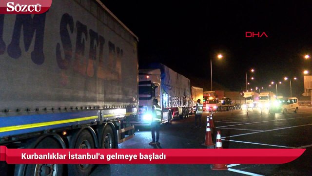Kurbanlıklar İstanbul'a gelmeye başladı