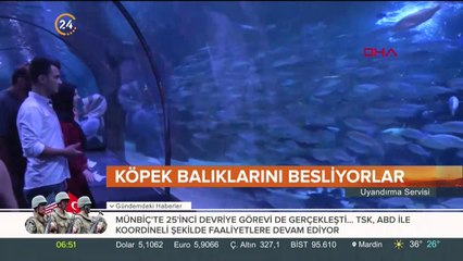 Elleriyle besliyorlar