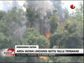 Hutan Lindung di Pegunungan Buttu Tallu Terbakar