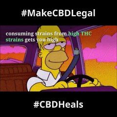 Exploring the Benefits of CBD