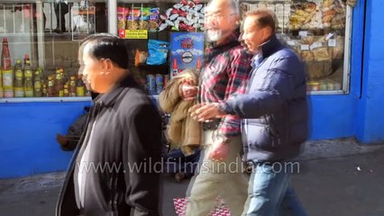 Top Ten Places To Visit in Darjeeling