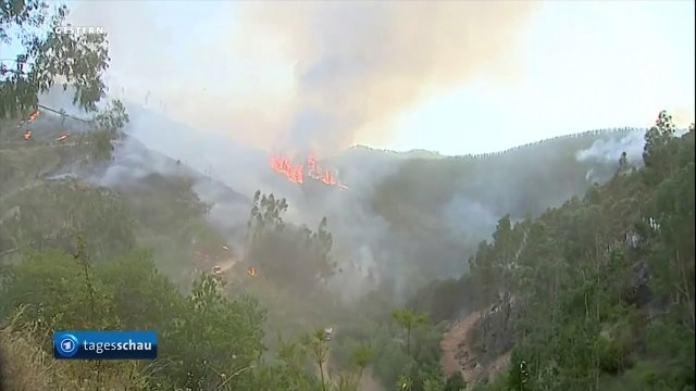 ZJARRE MASIVE NE PORTUGALI DHE NE SPANJE KU NUMRI I VIKTIMAVE KA SHKUAR NE 3 PREJ TEMPERATURAVE LAJM