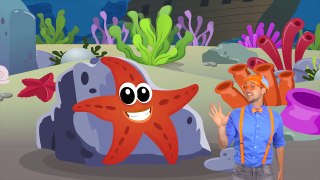 Ocean Animal Song by Blippi | Nursery Rhyme Songs for Children
