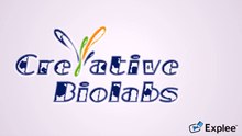 phage display technology