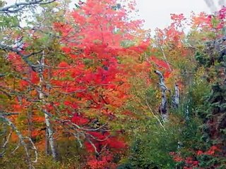Minnesota North Woods Fall Color