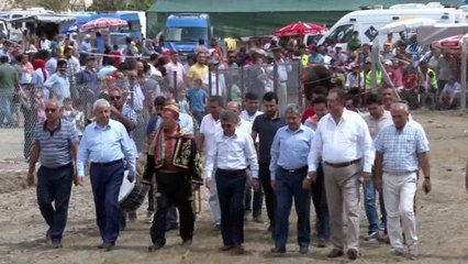 Dövüş alanından kaçan boğalar vatandaşların arasına böyle daldı