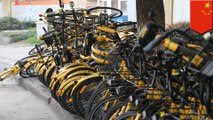 China's bike-sharing utopia turns out to be a real nightmare