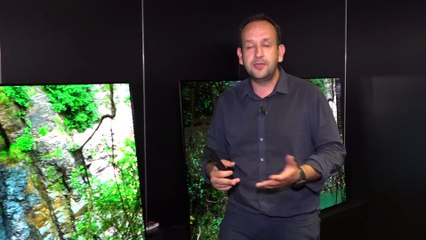 Bravia AF9 et ZF9 : Sony dévoile sa nouvelle gamme de télés OLED et LCD