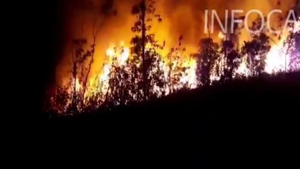 Movilizados más de 200 efectivos para luchar contra el incendio de Almonaster