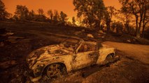Extreme heat, wildfires and the cost of climate change | Counting the Cost (Feature)