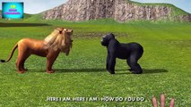 Real Creatures Animals Finger Family Collection | 3D Animal Creatures Dance Rhymes for Chi