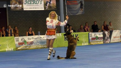 Malinois twists and jumps at Dog Dance World Championships