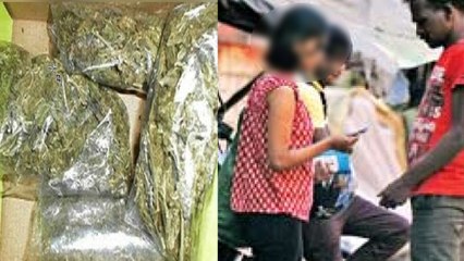 சென்னையில் 60 கிலோ கஞ்சா பெட்டியுடன் போலீசில் சிக்கிய பெண்- வீடியோ