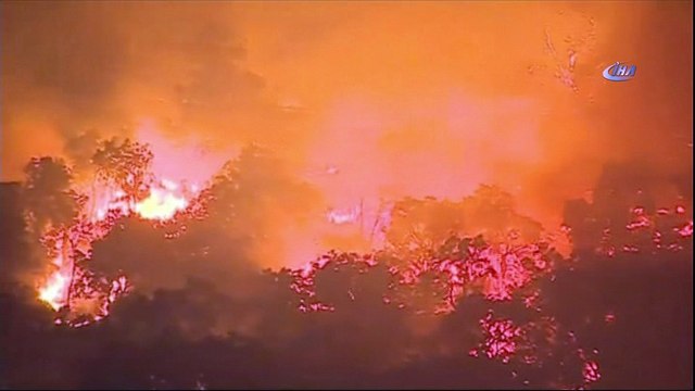 - Portekiz Orman Yangınlarıyla Mücadele Ediyor