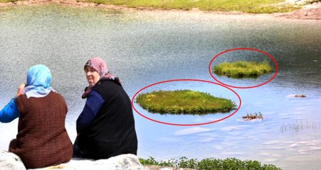 Rize'de Yaylacılar Yüzer Adalarla Hava Tahmini Yapıyor