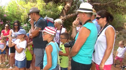Réactions de visiteurs au Camping Paradis