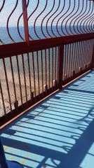 Vertige au sommet de la tour de Blackpool