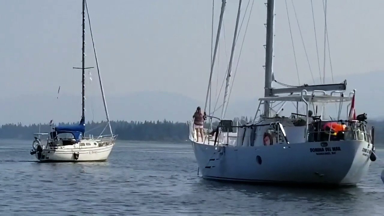 Une orque s'amuse avec un bateau (Canada)