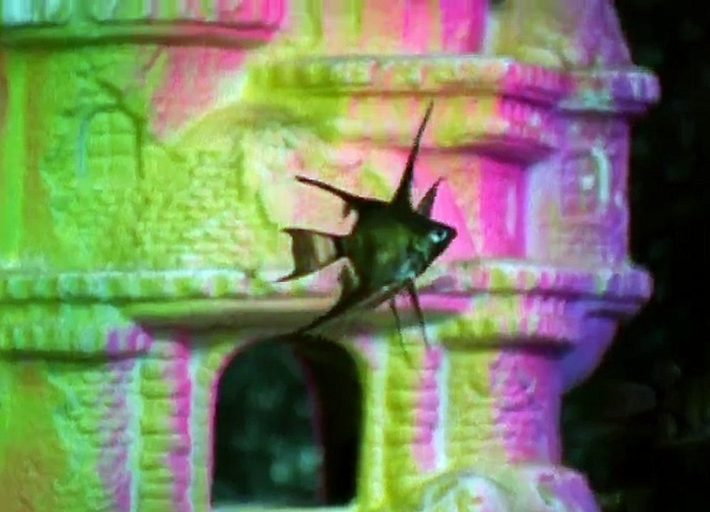 Animorphs S01 - Ep04 On the Run HD Watch