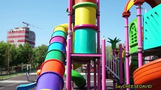 Playground for Children Outdoor Activities for Kids by Say CHEESE DAVID