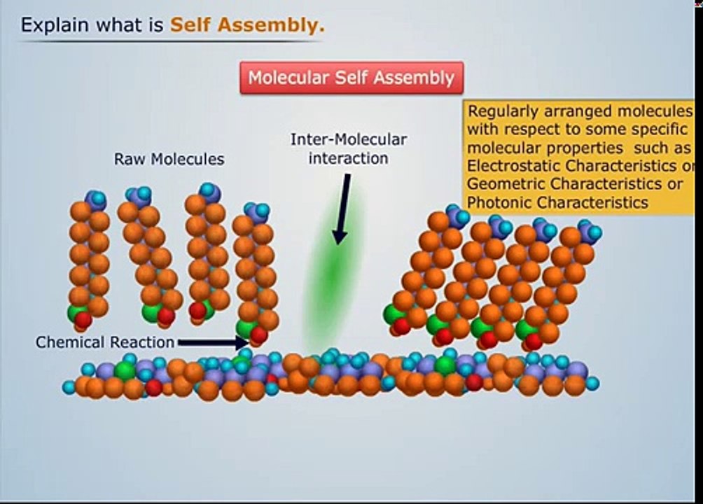 What is Self Assembly? | Magic Marks